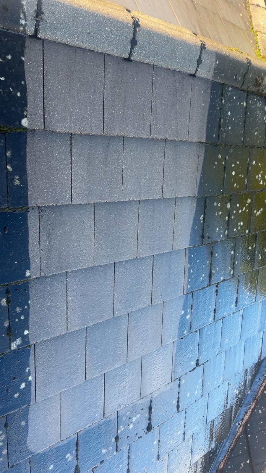 MossPro founder on a job site in Kildare